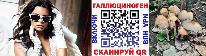 дарк нет формула  Фролово  Галлюциногенные грибы мицелий  kraken вход 